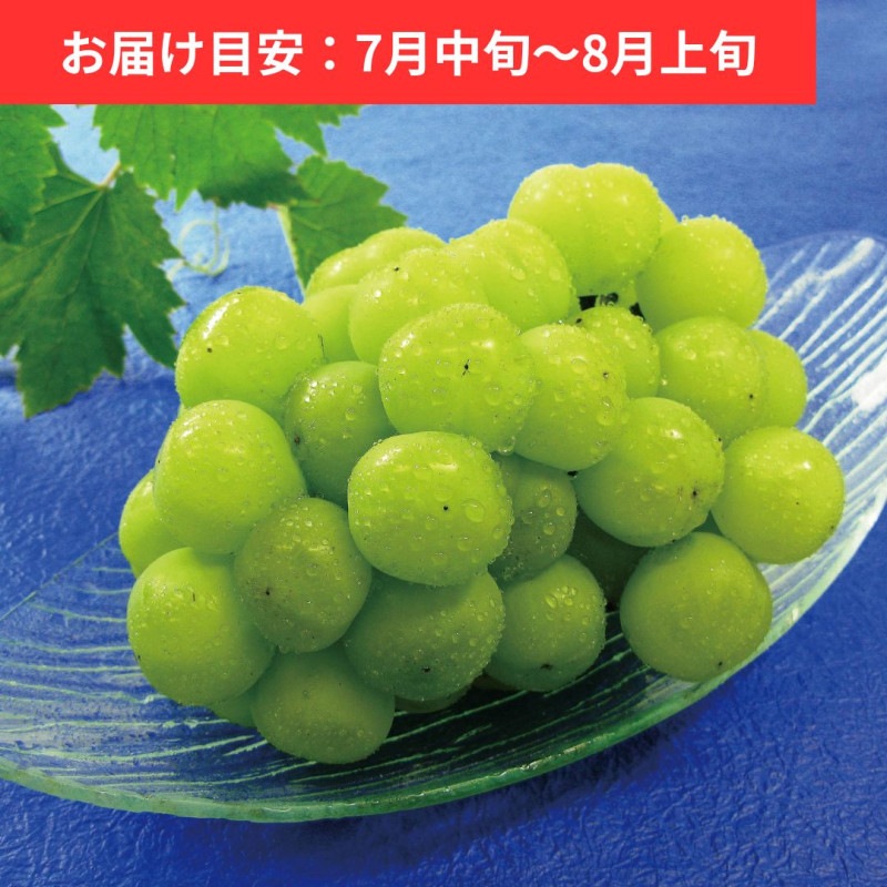 ���ͥ��㥤����� 1˼ (�� 700g)