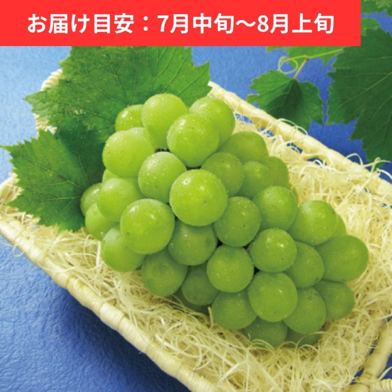 ���Ȥ��ܵ� ��˼�ޥ����åȡ����֡����쥭����ɥꥢ 1˼ (800g�ʾ�)