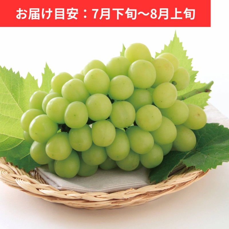 ���㥤��ޥ����å� 1˼ (�� 700g)