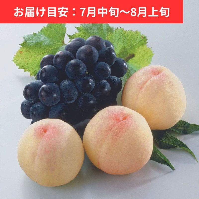 �������� 3��(�� ��800g)���˥塼�ԥ�����(��ʤ�) 1˼(�� 600g)
