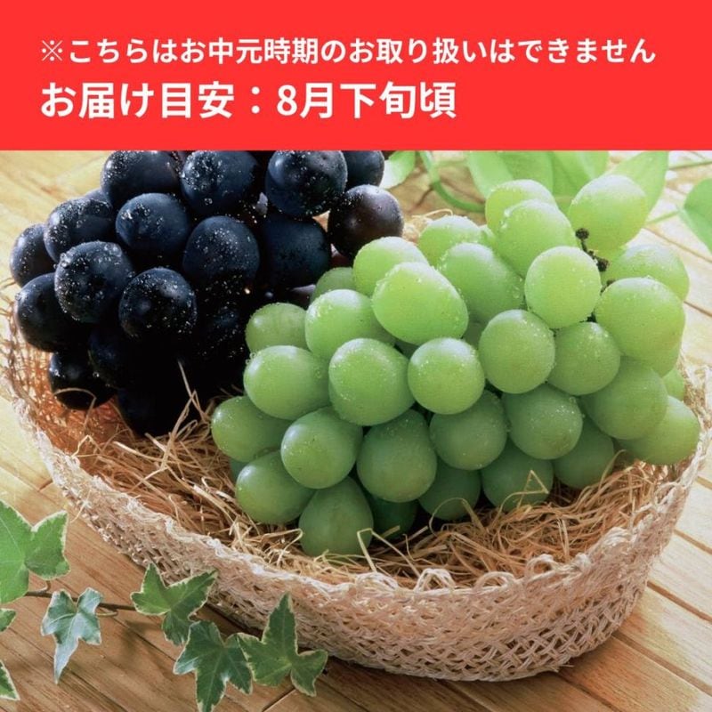 ֤ɤ͹礻(ޥåȥ֥쥭ɥꥢ˥塼ԥ̼͡ʤ) 1˼( 1.2kg)