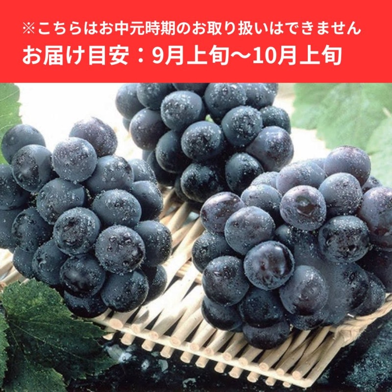�˥塼�ԥ�����(��ʤ�) 2˼(�� ��1.2kg)