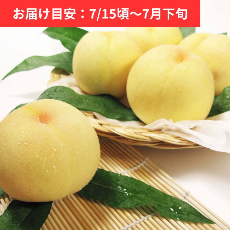 �������� ��� 5�̡�(�� ��1.5kg)
