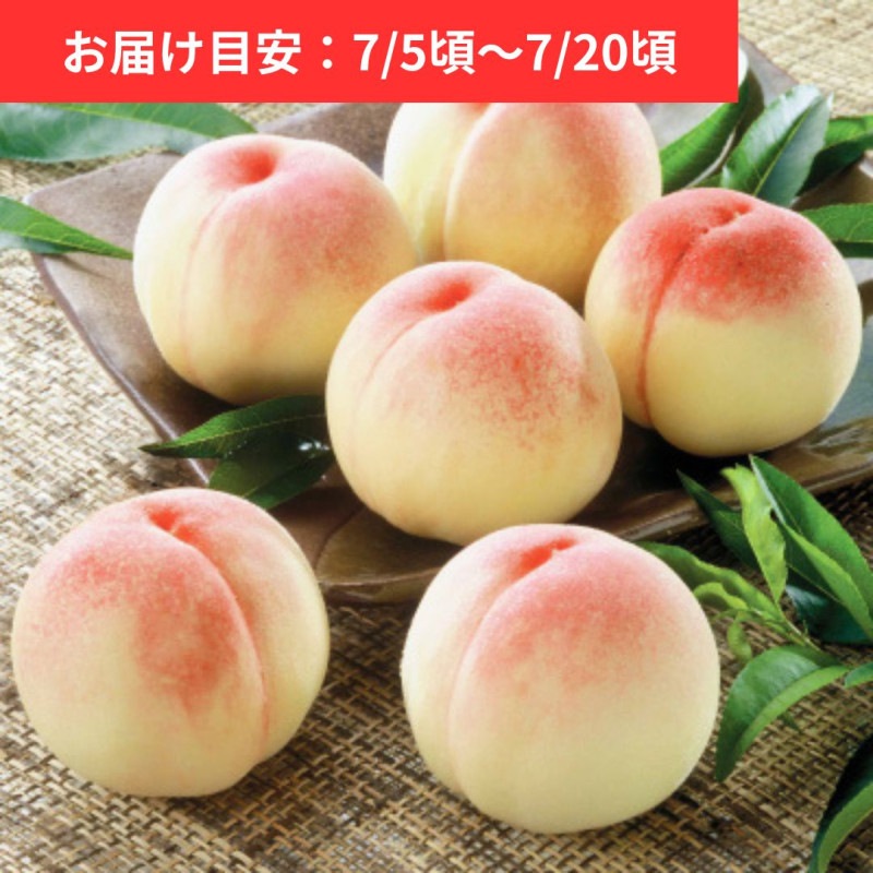 ��˱ ��� 5�� (�� ��1.5kg)