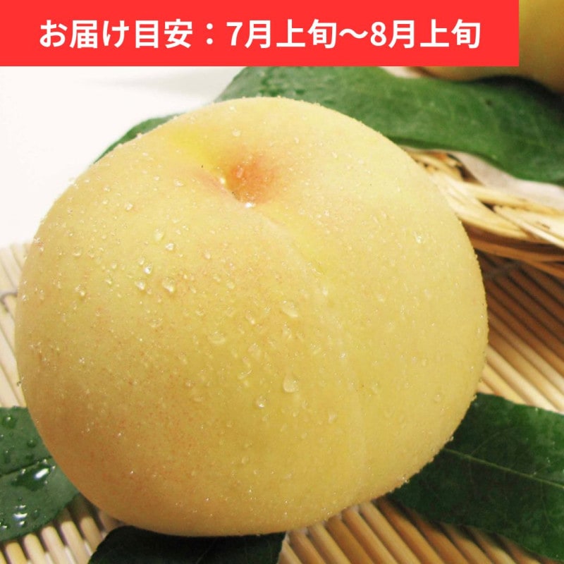 ���Ȥ��ܵ� �������� ��� 5��(�� 1.8kg�ʾ�)