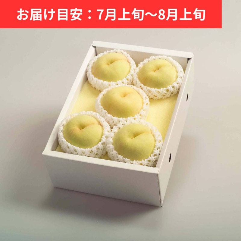 �������� 6�� (�� ��1.6kg)