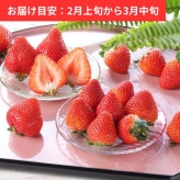 ���ߤΤ� ��400g��20��24�ġ�