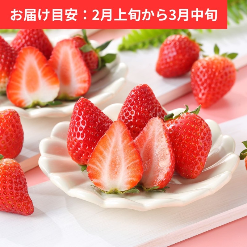 ���������� ��400g��20��24�ġ�