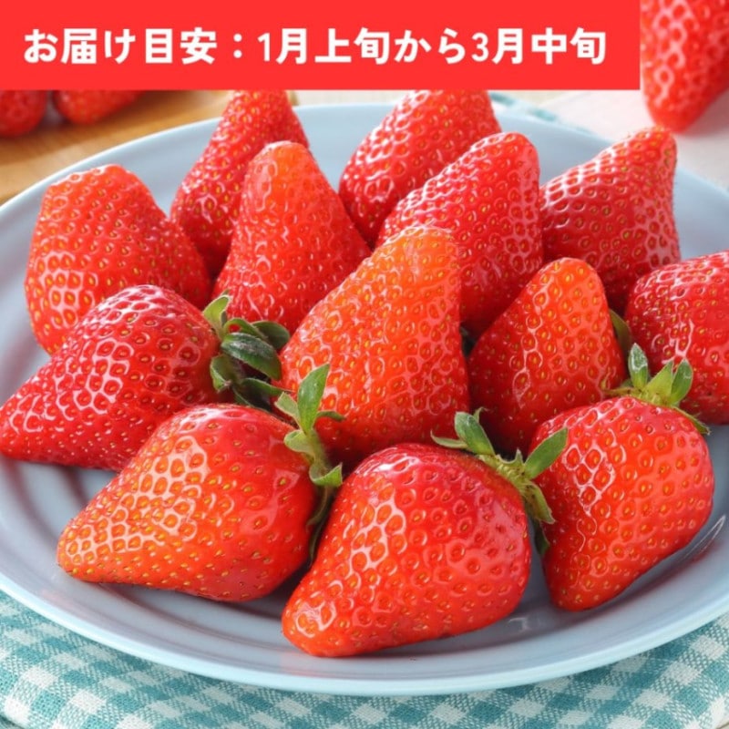 ���Τ�������400g��20��24γ��