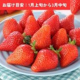 ���Τ�������400g��20��24γ��