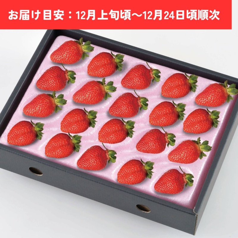 ���������20��24γ��