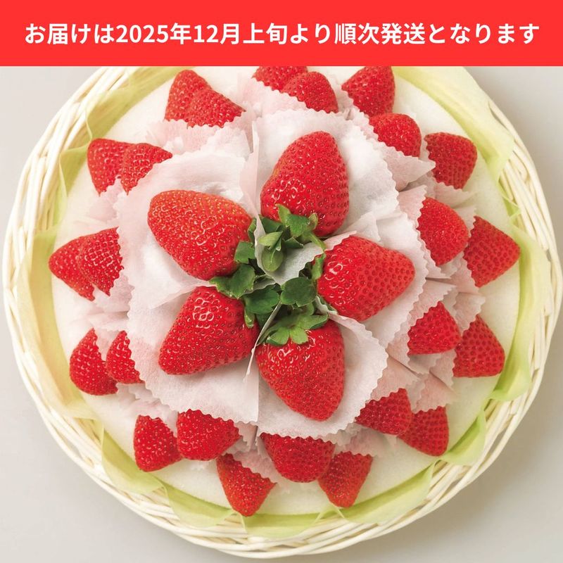 ������������550g��