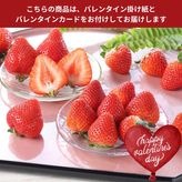 �ڥХ�󥿥����ѡ����ߤΤ� ��400g��20��24�ġ�