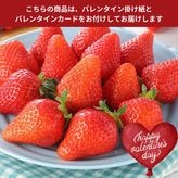 �ڥХ�󥿥����ѡۤ��Τ�������400g��20��24γ��