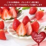 �ڥХ�󥿥����ѡۤ��������� ��400g��20��24�ġ�