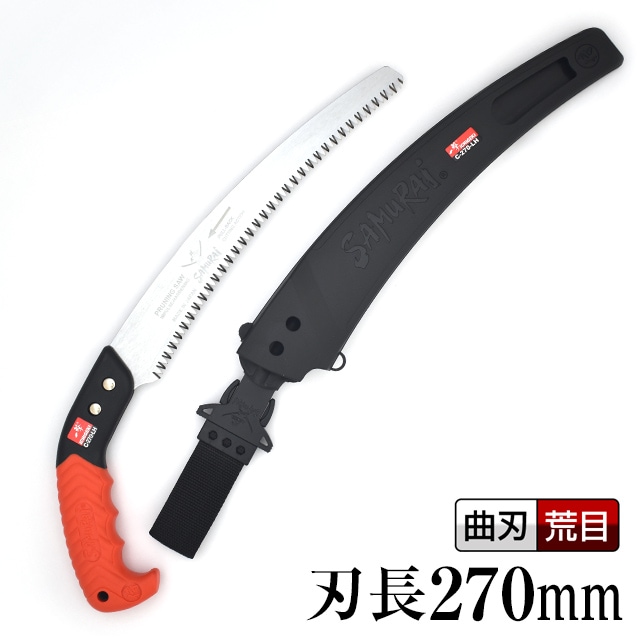 姫丸鰹節虫 サイズ44 ヒメマルカツオブシムシ（姫円鰹節虫）