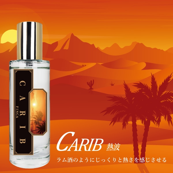 wccf シェバ アンリ トッティ ネスタ アドリアーノ プジョル カカ ネスカフェ アンバサダー ネスカフェ ドルチェ グスト ジェニオ