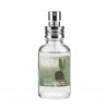 FINCA CACTUS WATER ե  (̿ο) 塧ɥȥ