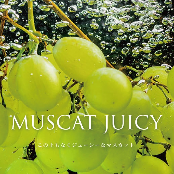 マスカット ジューシー -青葡萄の独り言- マスカットの香り FINCA 香水