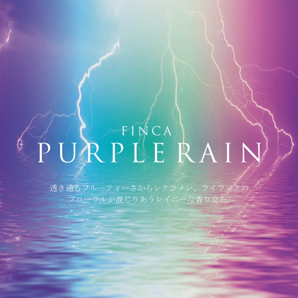 2本セット】FINCA フィンカ オードトワレセット パープルレイン