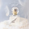 【完売】 FINCA TiA フィンカ ティア MADE IN JAPAN 香水 オードトワレ