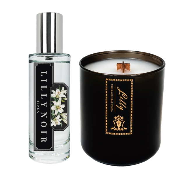 FINCA �ȥ�쥻�å� �����ޥ����ɥ� ���꡼��ե������ι��