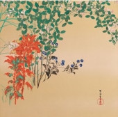 ٸѴۥ쥯 ݥꥨƥΤդ  ͵ֿ  48