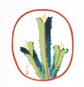 ʤΤդ ʡʿȬϺ 㾾68