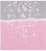 ��������ΰ��������Τդ����� �졼��󡡹Ȥ������ 68�������ͥ�