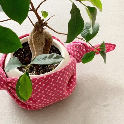 �ɤ��ҤΤդ����� �����ɻ�50��� �ԥ�