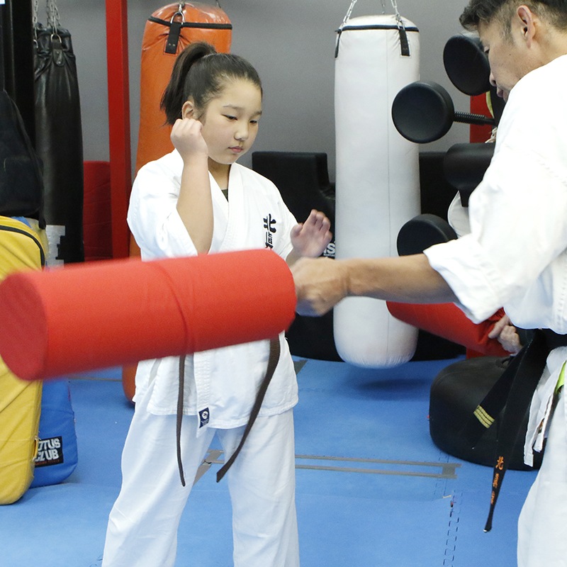 パーフェクトブロッカー