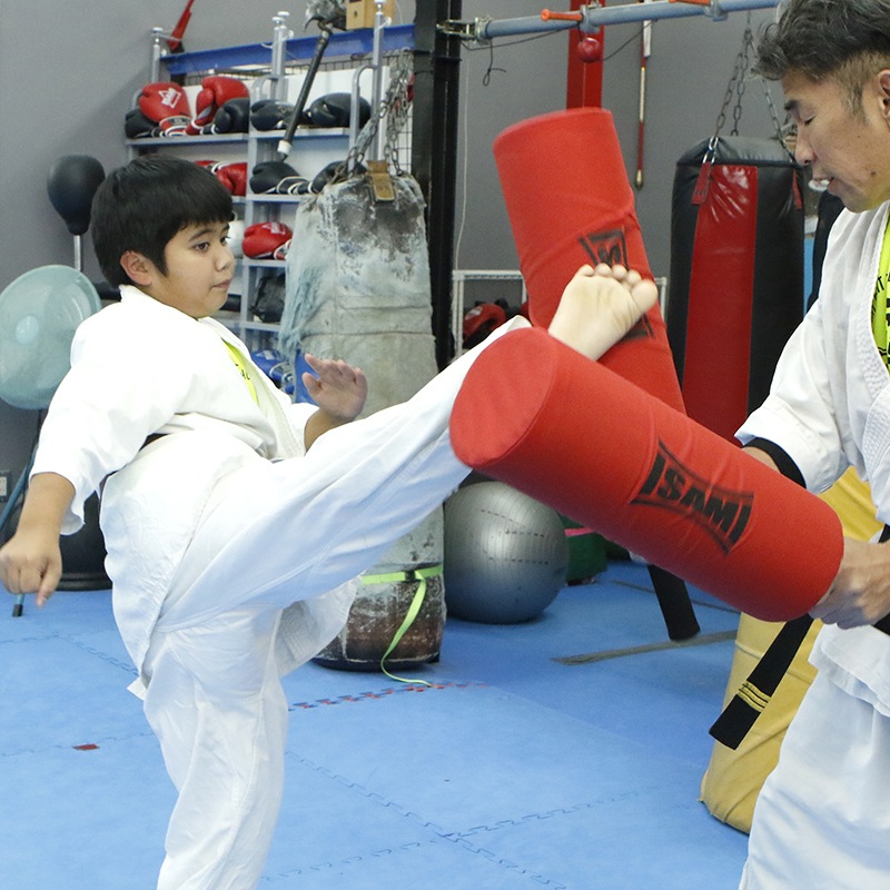 パーフェクトブロッカー