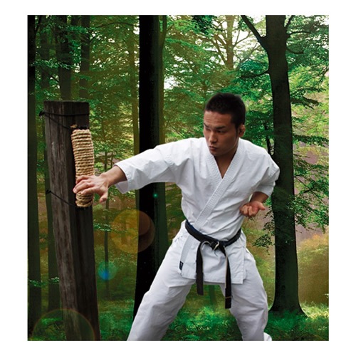 鉄拳入魂マキワラ