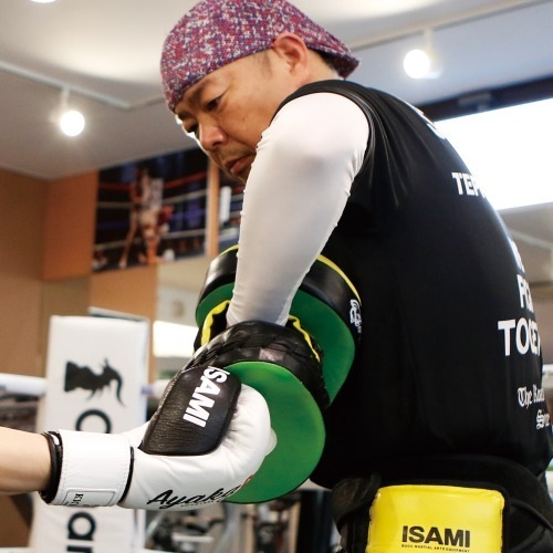 パンチングミットNS