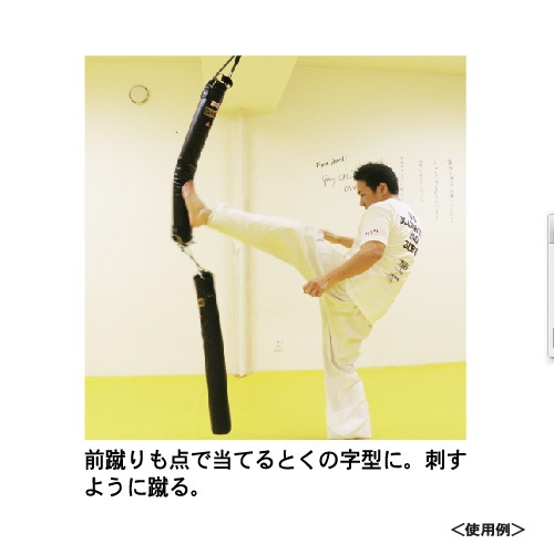 KO養成サンドバッグ エクストラ | サンドバック | karateisami(空手