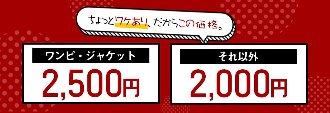 カテゴリー：訳アリ商品【アウトレット】