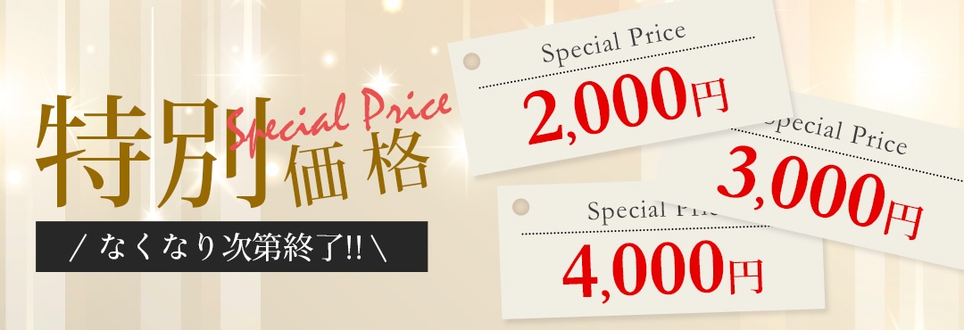 カテゴリ：特別価格【2000円・3000円・4000円】