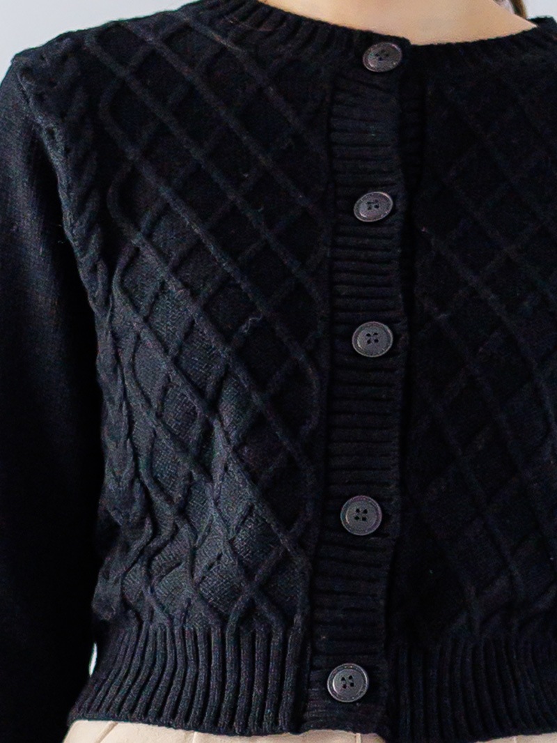 【30％OFF】ローゲージ ケーブル編み丸首カーデ