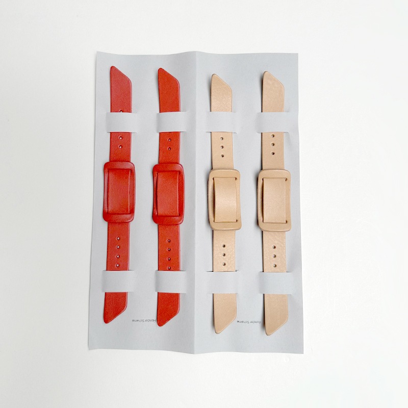 エンダースキーマ chameleon crog