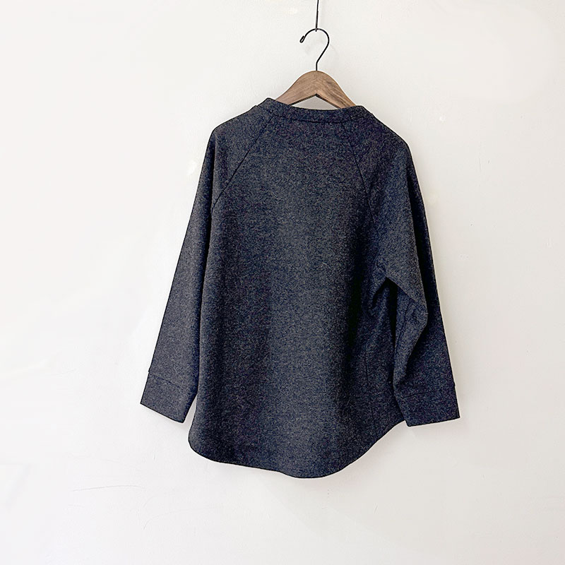 ティグルブロカンテ ウールニット天竺 ソリッドスウィッチスタンドL/S T