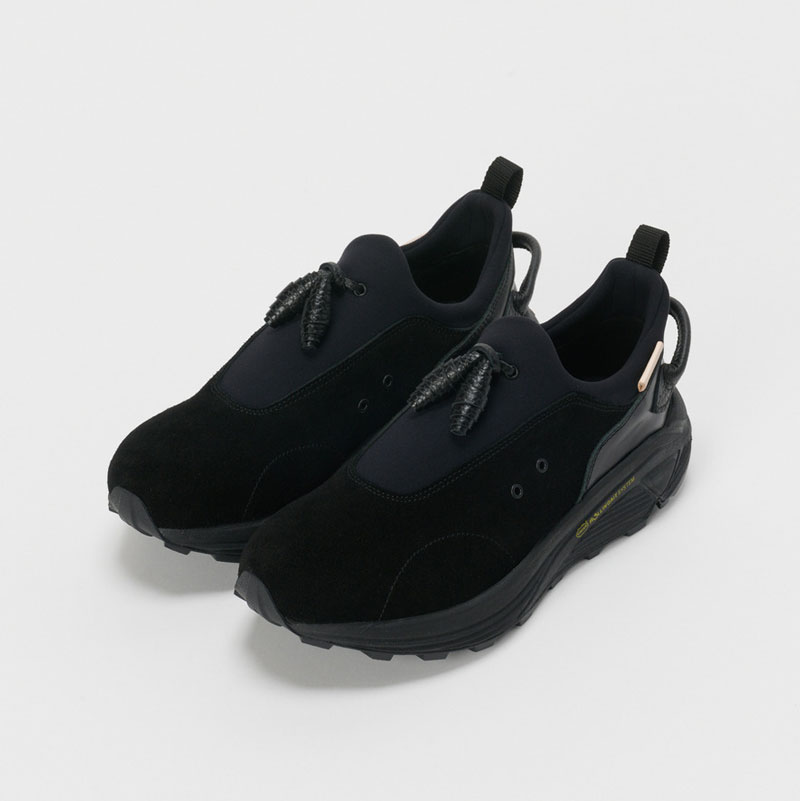 エンダースキーマ species