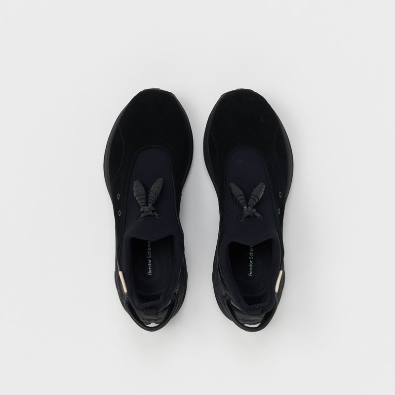 エンダースキーマ species