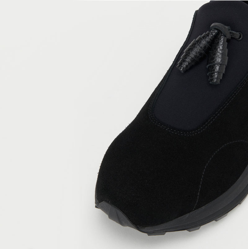 エンダースキーマ species