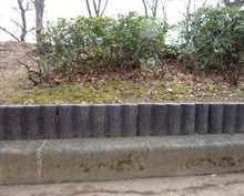 �ץ鵼�ڡ���Ϣ���ڡ�H500
