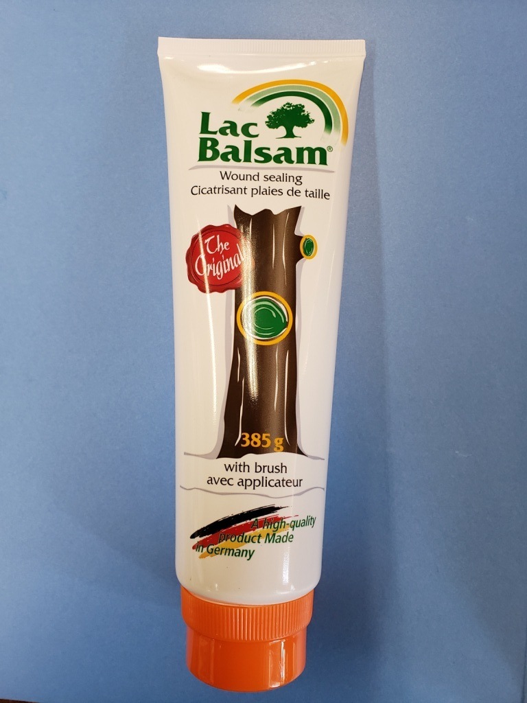 ハルさん専用 子供の誕生とともに購入したパルサーエクサコンバーチブルと過ごしてき