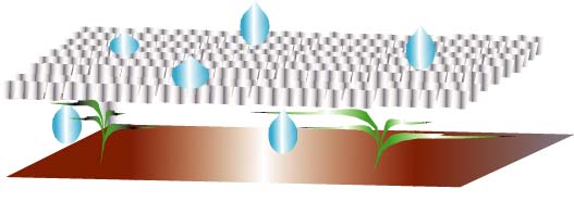 KOIZUMI ��KOMA100 ��Ʃ�奷���ȡ�������cm����������