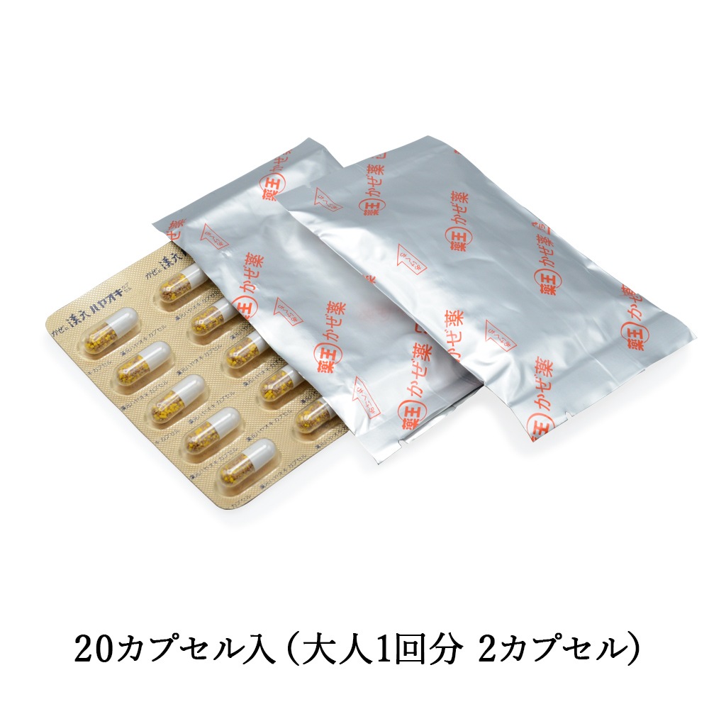 ϥ䥪ץ 20ץ롡ڥեǥǹоݾʡ