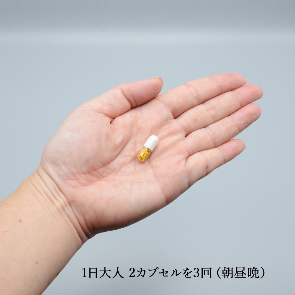 ϥ䥪ץ 20ץ롡ڥեǥǹоݾʡ