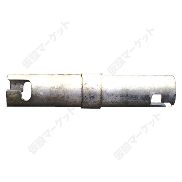 �ѥ��ץ��祤���(��48.6ñ�ɥѥ�������)