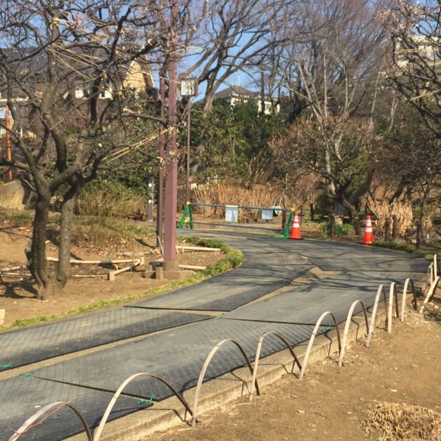 �������� ���åɥץ饹���å� W�ܡ���